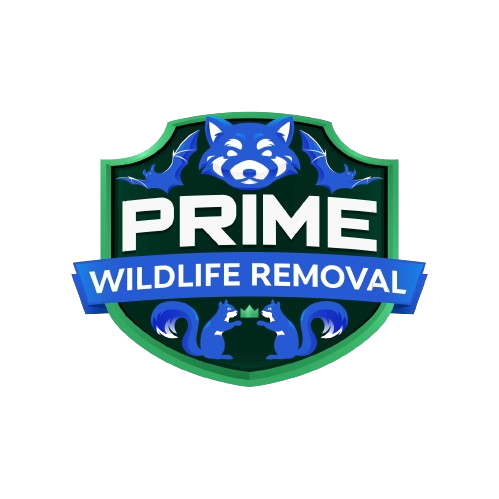 Wildlife Removal Cambridge Township